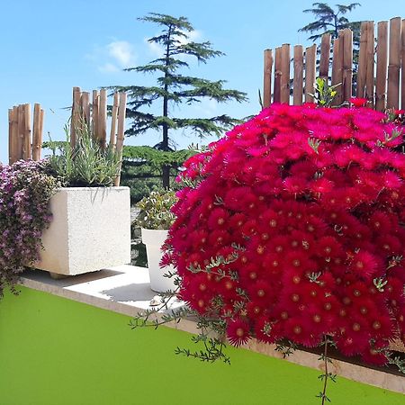 B&B Smartfit House - Room & Relax In Pescara Zewnętrze zdjęcie